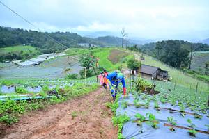 BIB: 1090
                            <button type="button" onclick="openModal(13378460)" class="btn btn-primary btn-sm float-right btn-popup" data-toggle="modal" data-target=".modal-high-quality">
                        <i class="fas fa-shopping-cart"></i> Add to Cart
                    </button>
                                            <button type="button" onclick="isThisMe(13378460, true)" class="btn btn-success btn-sm float-right btn-popup btn-isme hidden" data-toggle="tooltip" data-placement="bottom" title="นี่คือรูปของคุณใช่ไหม คลิกที่นี่เพื่อเอาเข้าอัลบั้ม">
                        <i class="fas fa-plus"></i> Add to album
                    </button>
                    <button type="button" onclick="isThisMe(13378460, false)" class="btn btn-warning btn-sm float-right btn-popup btn-isnotme hidden">
                        <i class="fas fa-ban"></i> Remove from album
                    </button>